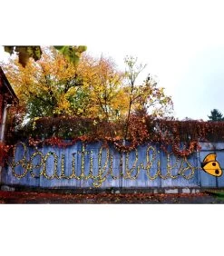 Concrete Canvas: How Street Art Is Changing The Way Our Cities Look -Plus gros. Mieux. Magasin de jouets. 21801