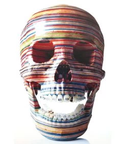 Skullture: Skulls In Contemporary Visual Culture -Plus gros. Mieux. Magasin de jouets. 21958