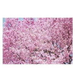 Mika Ninagawa : Into Fiction/Reality -Plus gros. Mieux. Magasin de jouets. 34164