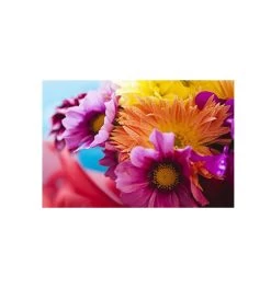 Mika Ninagawa : Into Fiction/Reality -Plus gros. Mieux. Magasin de jouets. 34166