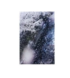 Mika Ninagawa : Into Fiction/Reality -Plus gros. Mieux. Magasin de jouets. 34168