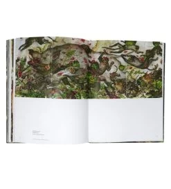 American Fried Rice : The Art Of Mu Pan -Plus gros. Mieux. Magasin de jouets. 42995