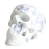 Skull TJ Blue- Noon -Plus gros. Mieux. Magasin de jouets. 46423