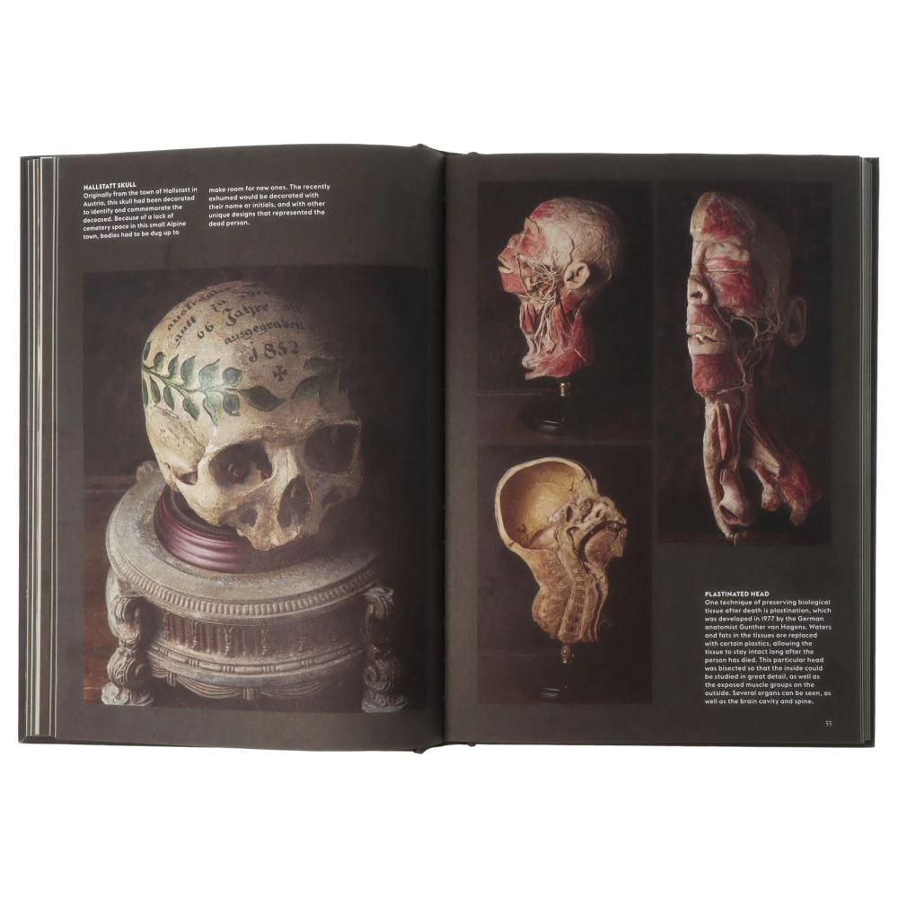 Skulls Portraits Of The Dead And The Stories They Tell 7 Skulls Portraits Of The Dead And The Stories They Tell – Image 5