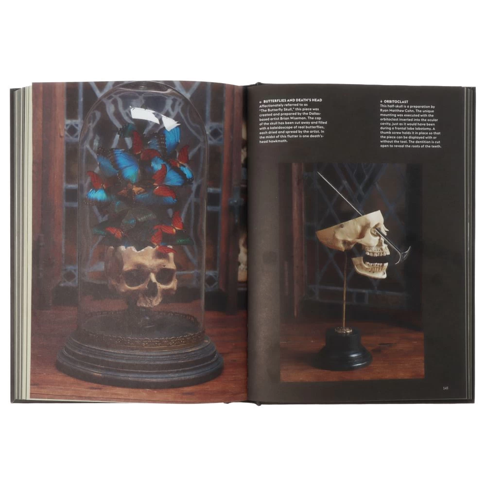 Skulls Portraits Of The Dead And The Stories They Tell 9 Skulls Portraits Of The Dead And The Stories They Tell – Image 7