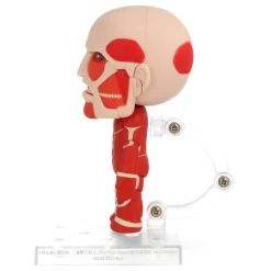 Attack On Titan - Nendoroid Colossal Titan Renewal Set -Plus gros. Mieux. Magasin de jouets. colossaltitan192530