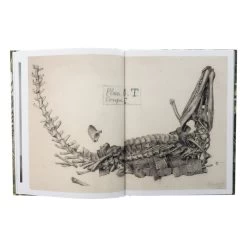 Dinosaurs Are Collectible -Plus gros. Mieux. Magasin de jouets. dinosaurs are collectible6