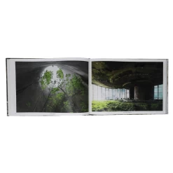 Le Monde Perdu -Plus gros. Mieux. Magasin de jouets. le monde perdu5