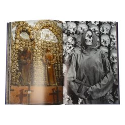 Memento Mori The Dead Among Us (Compact Ed) -Plus gros. Mieux. Magasin de jouets. menmento mori13